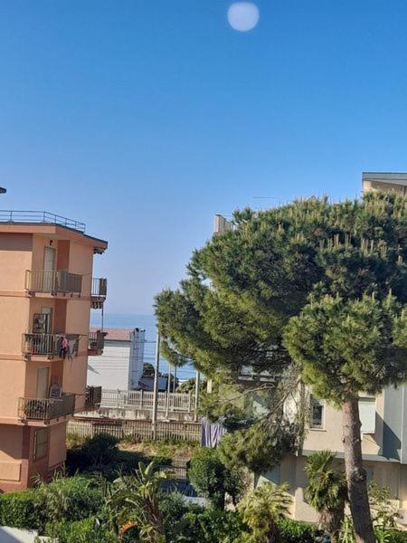 Hotel Rosalia Bordighera Esterno foto