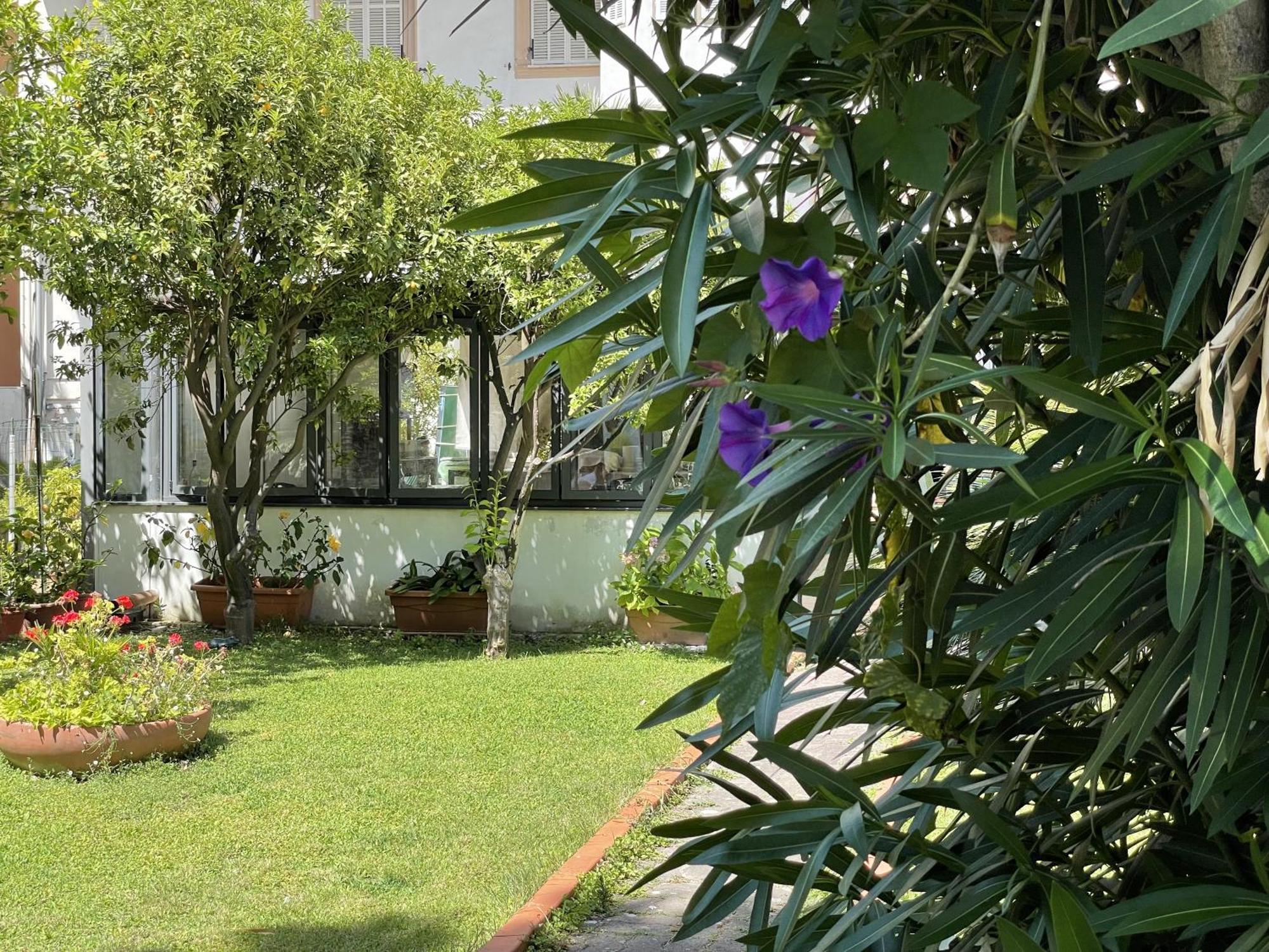Hotel Rosalia Bordighera Esterno foto